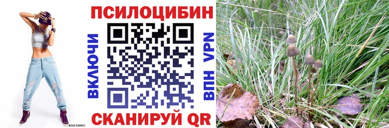 Псилоцибиновые грибы GOLDEN TEACHER  что такое наркотик  Отрадная 